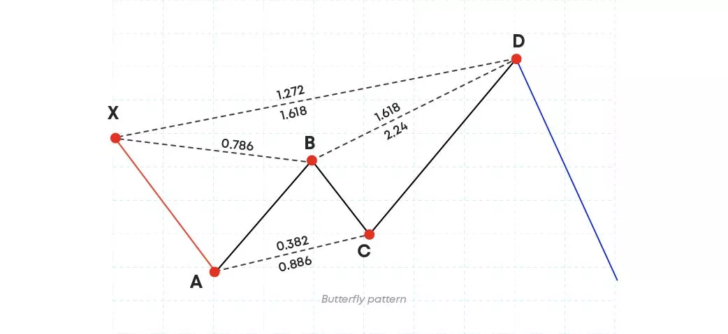 Butterfly pattern Butterfly pattern